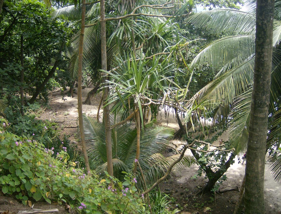 N'Guembu Nature Resort Porto Alegre Exterior photo